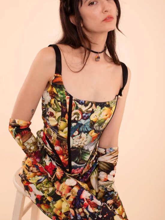 Samantha Pleet Tops - Samantha Pleet Muse Cotton Corset in Whimsical Harvest Print EUC